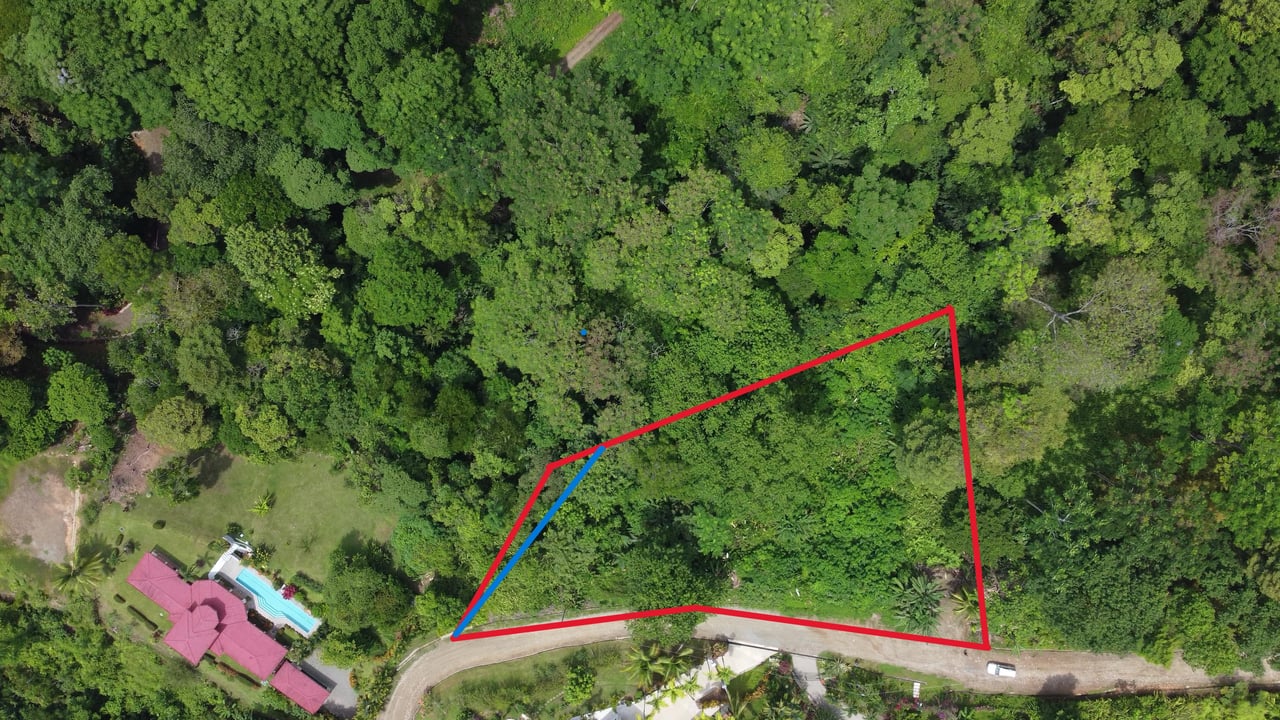 Ojochal - 1 Acre Ready To Build Jungle Lot, Ocean Breezes in Wildlife Corridore