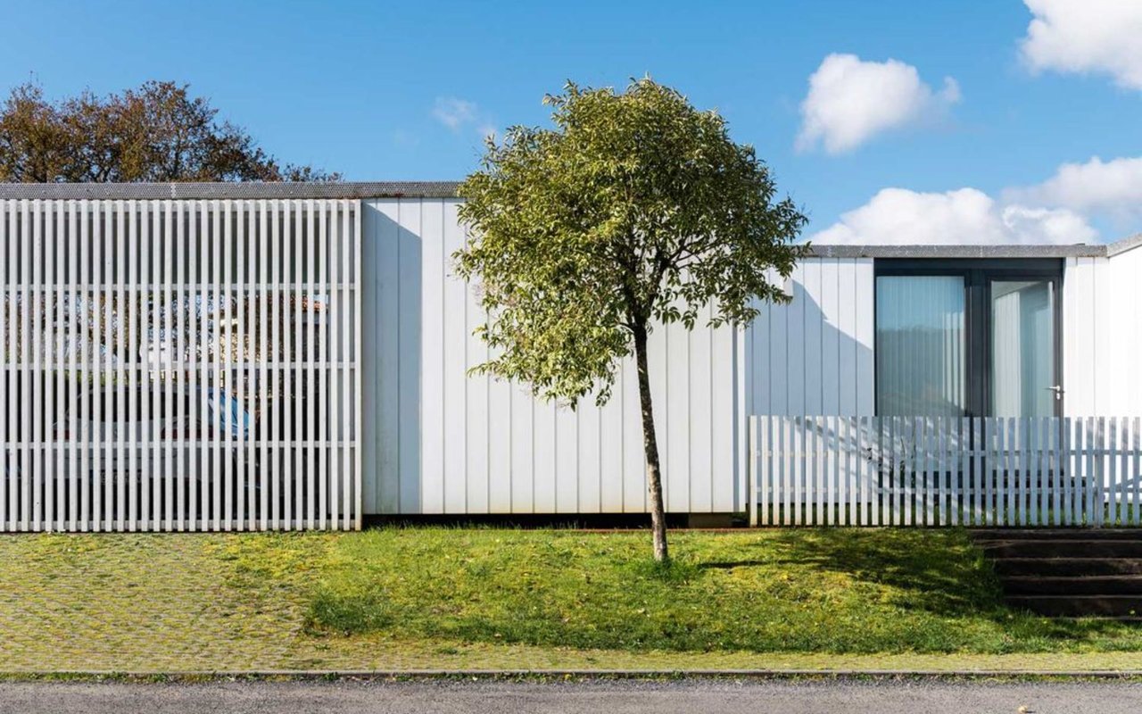 Planting a Tree - Buying a Home
