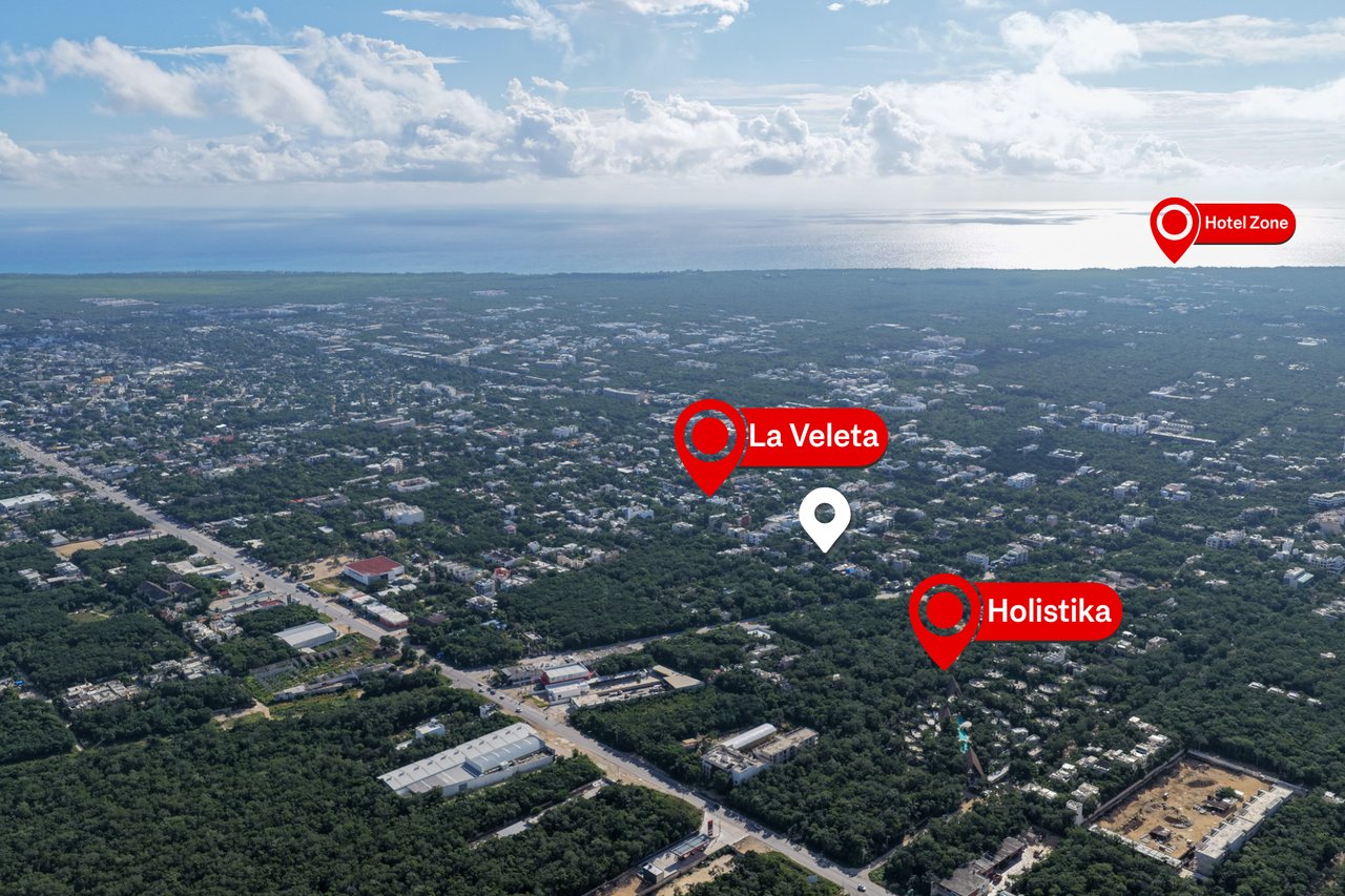 SELVATIK JUNGLE PODS 