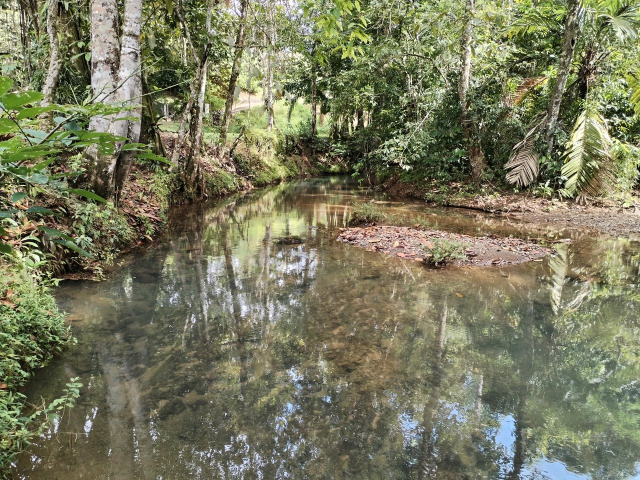 Villa Shanti: Luxurious 3-Bedroom Jungle Home in Ojochal, Costa Rica