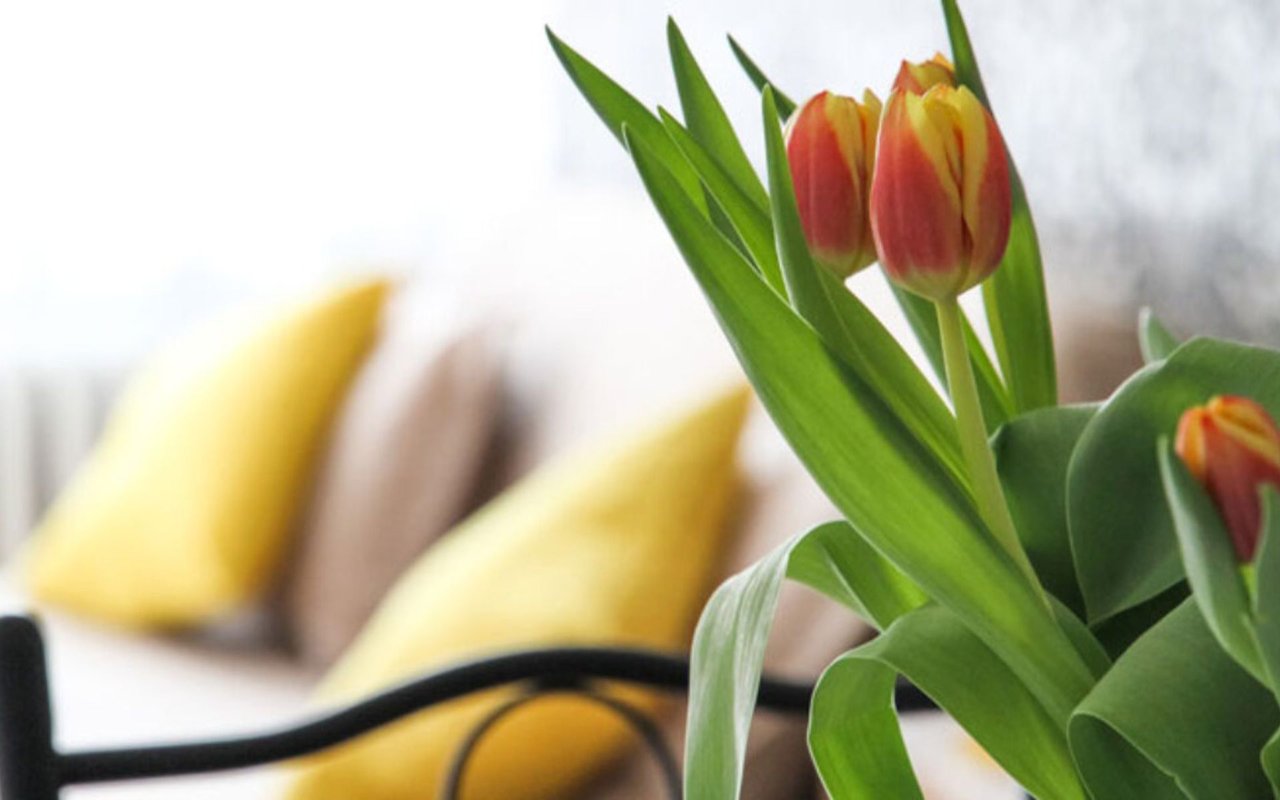 20 Tips for Preparing Your House for Sale This Spring