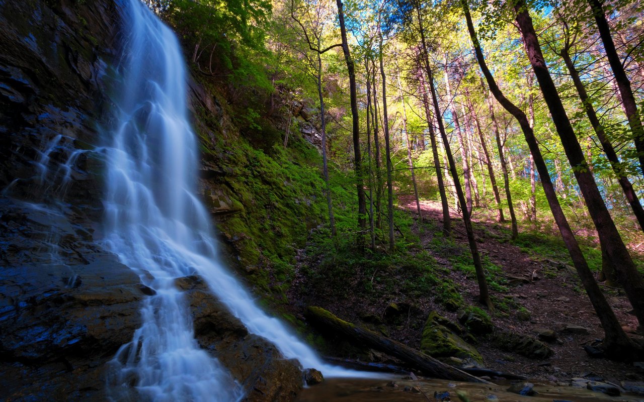 Unicoi