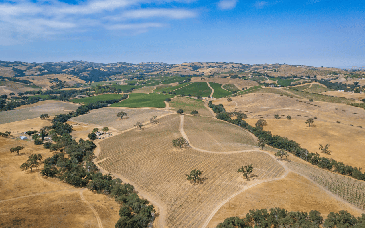 Rural Paso Robles Ranches