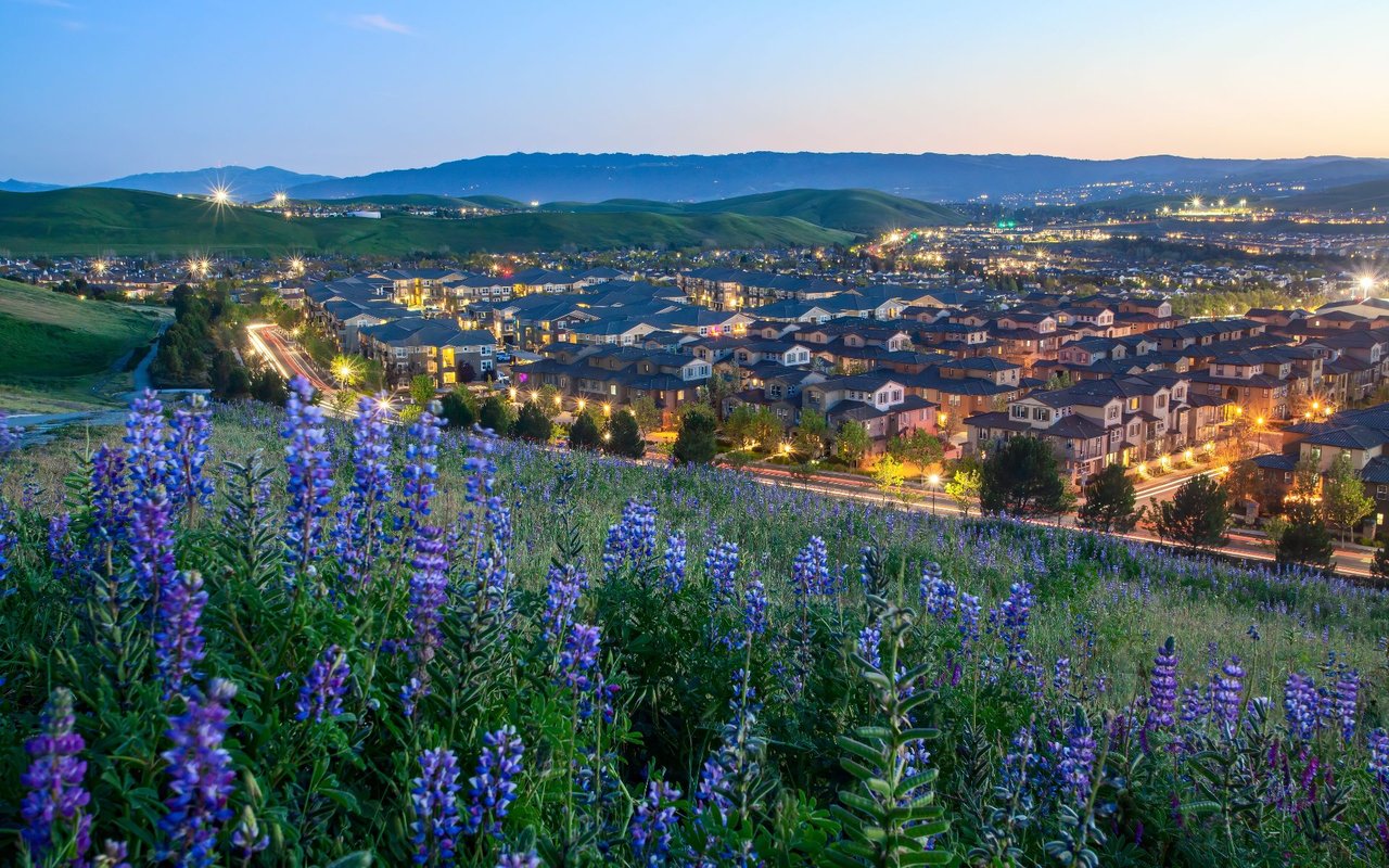 Blossom Valley