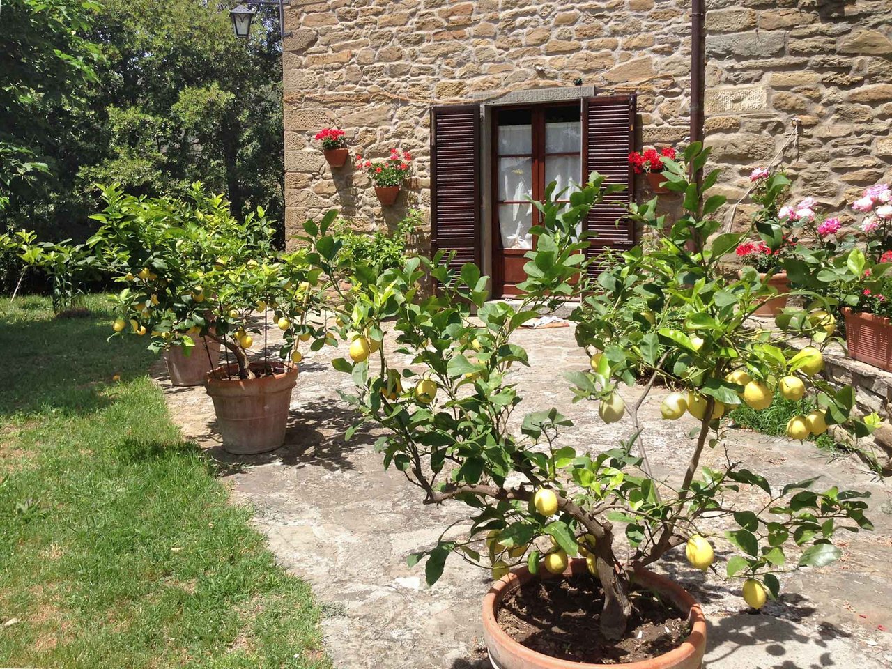 CASALE RICCIOLO