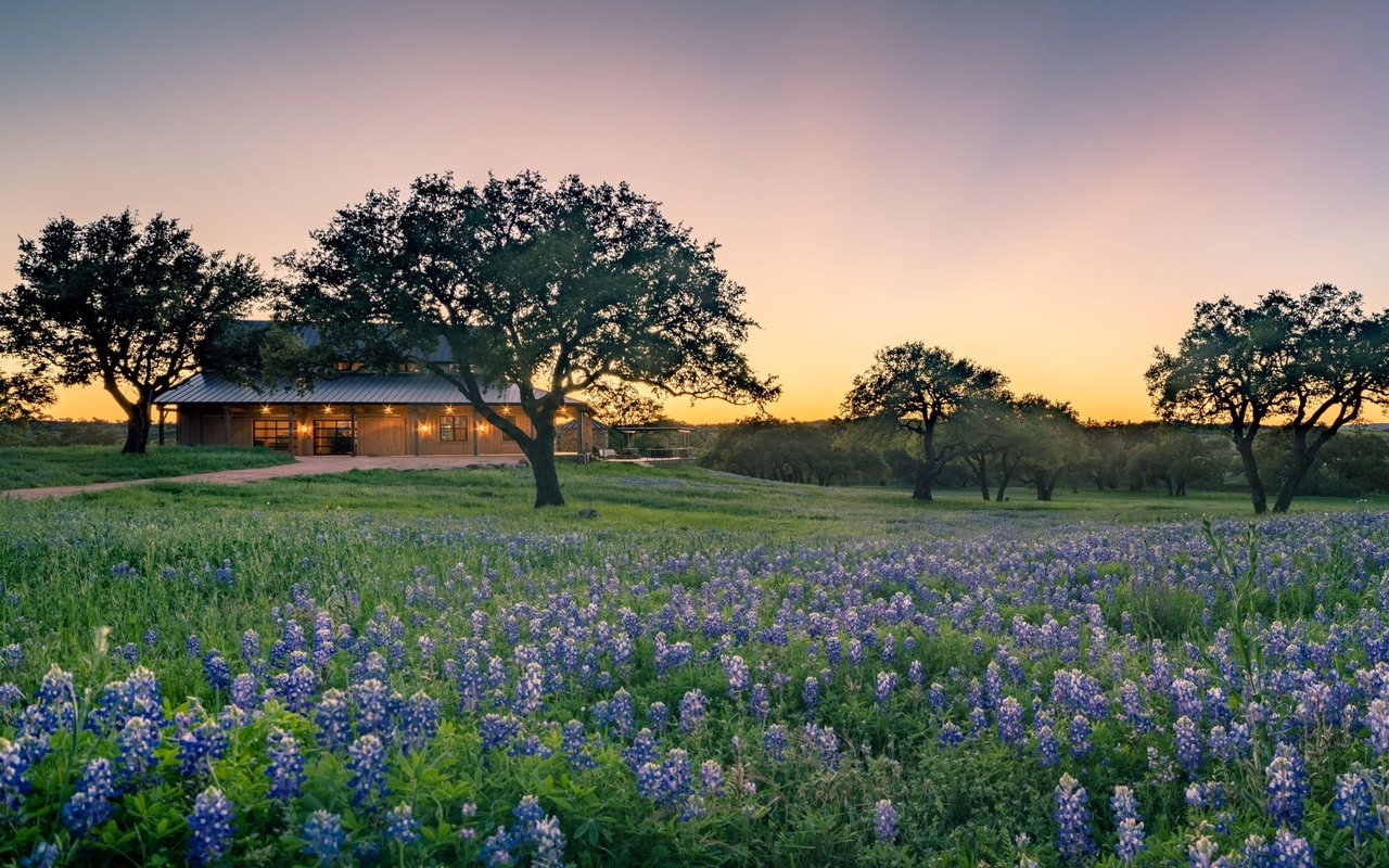 Farm & Ranch Properties