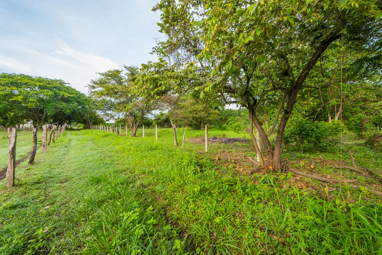 La Garita de Tamarindo Lot |1.3-Acre Home Site Near Top Beaches, Private, Scenic, and Well-Located
