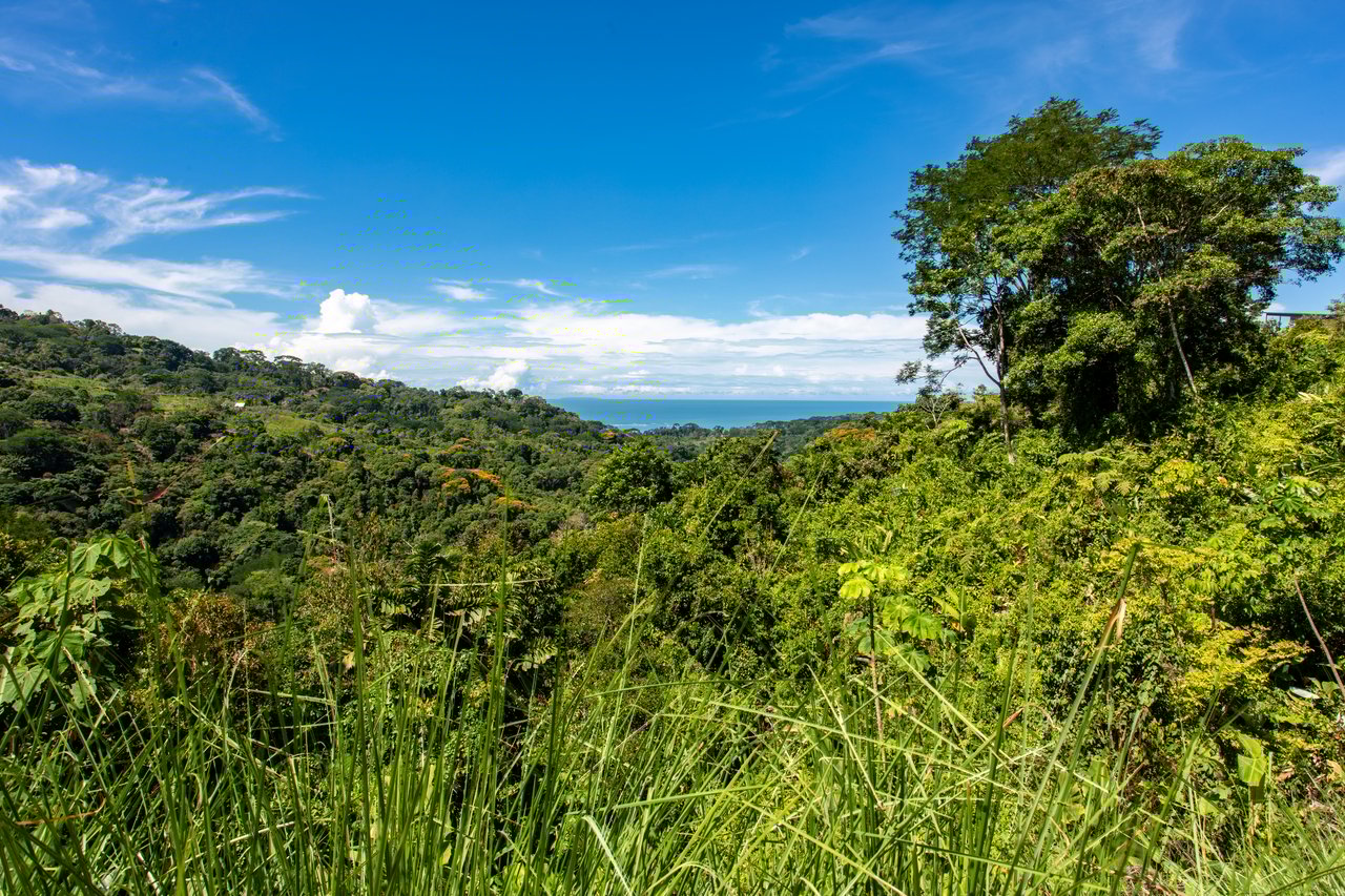 Private 5-acre Riverfront Property with Ocean & Mountain Views | San Josecito