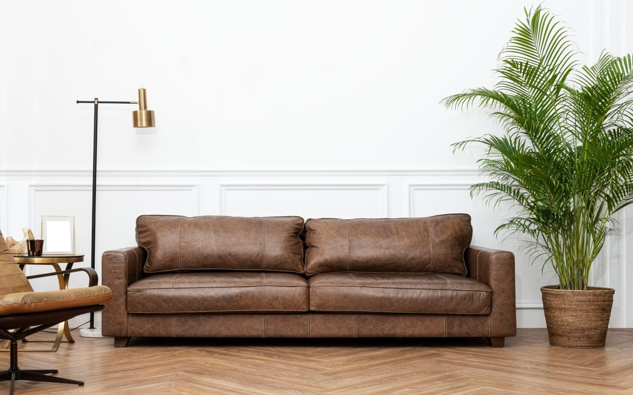 Living room with a brown leather sofa, tall potted palm, and white paneled wall.
