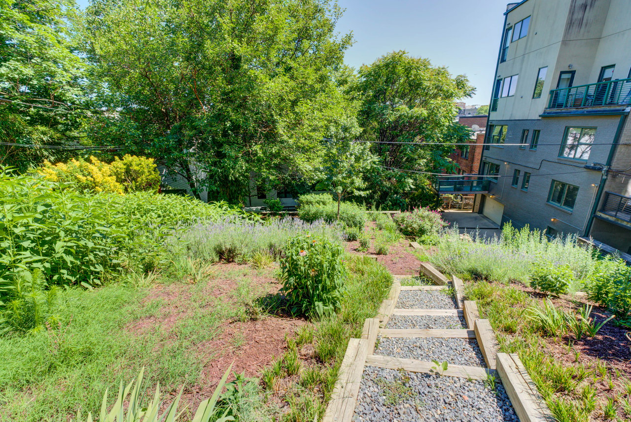 1468 Belmont Street NW Unit 3E