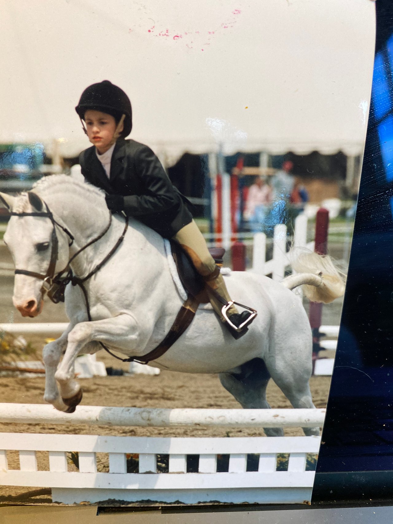 Devon Horse Show 2026 Guide, Lead Line History & Final Weekend Events | B&B Luxury Properties