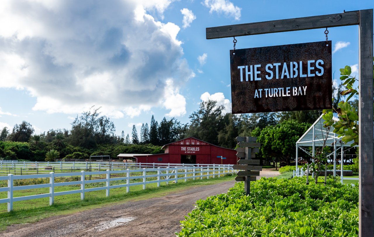 Turtle Bay 1 Bedroom with Loft SLEEPS 4-6