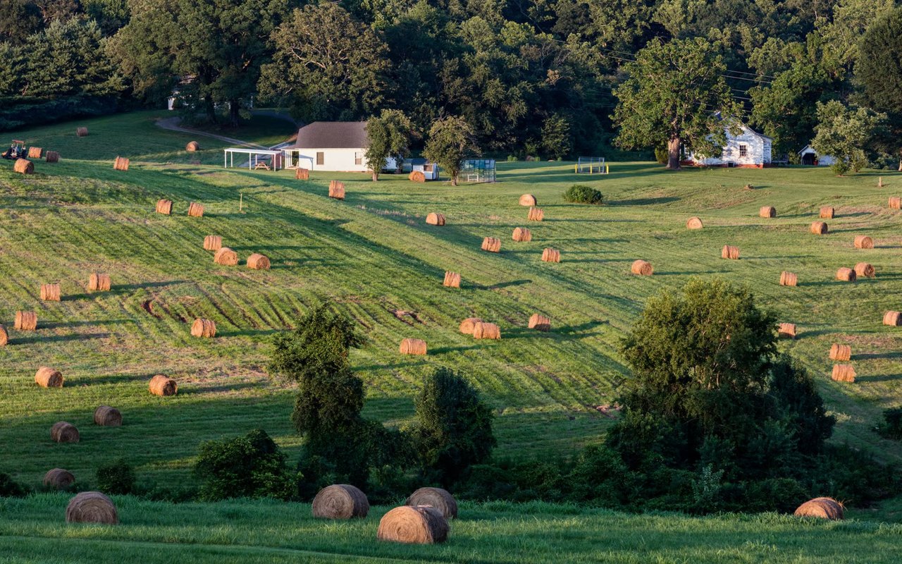 Carters Farm