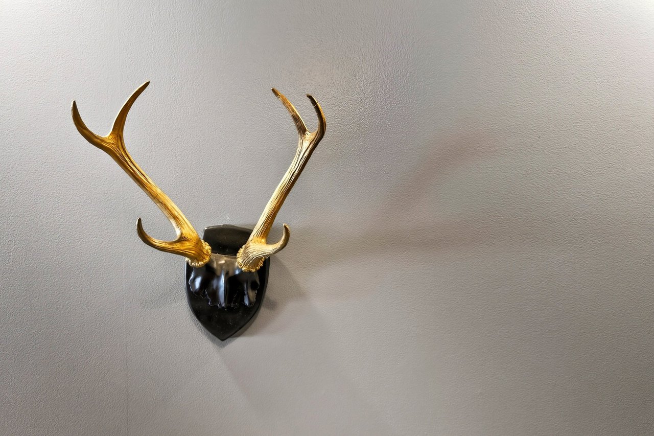Gold-colored antlers mounted on a light gray textured wall.