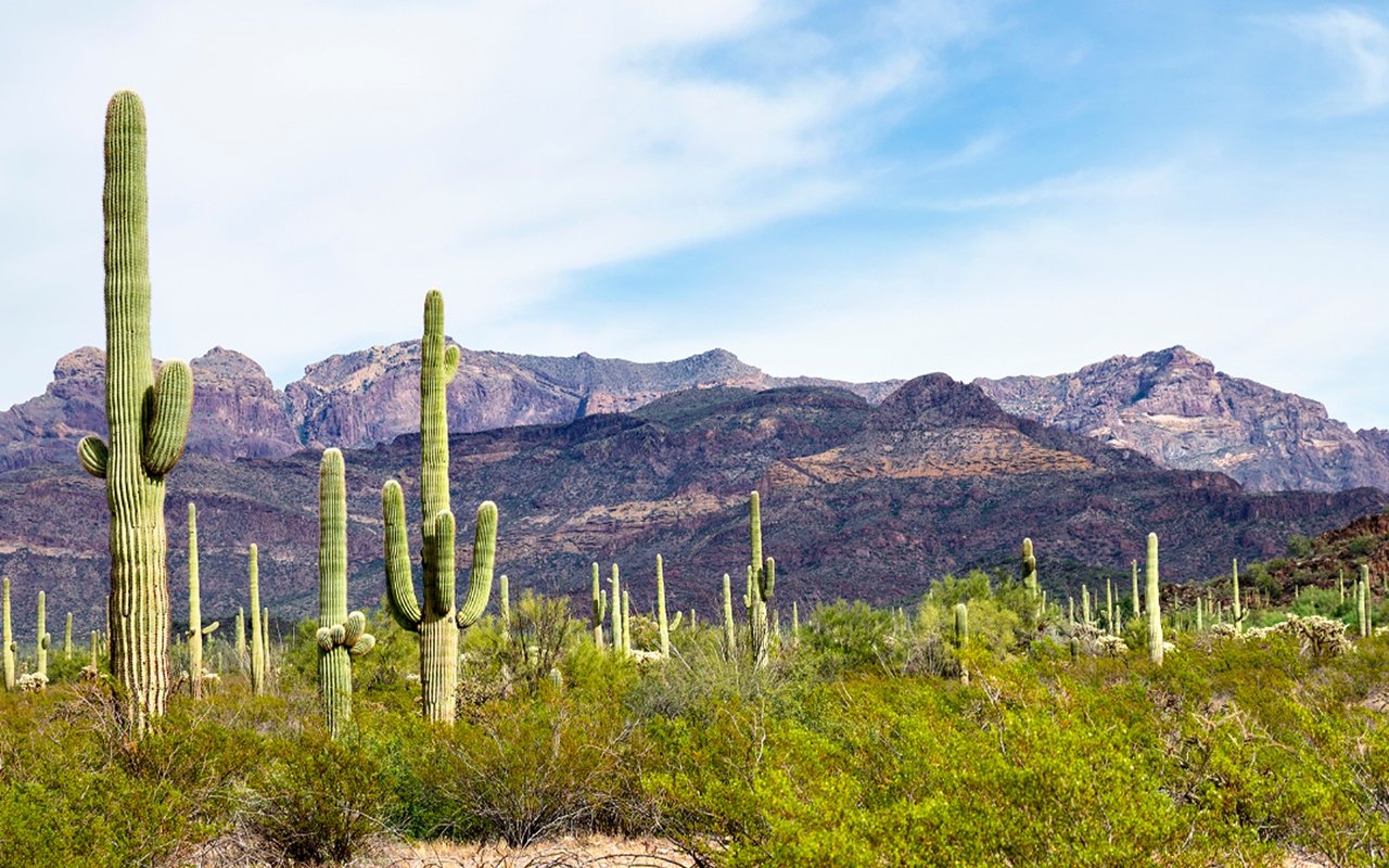 Exciting Events in Phoenix this May