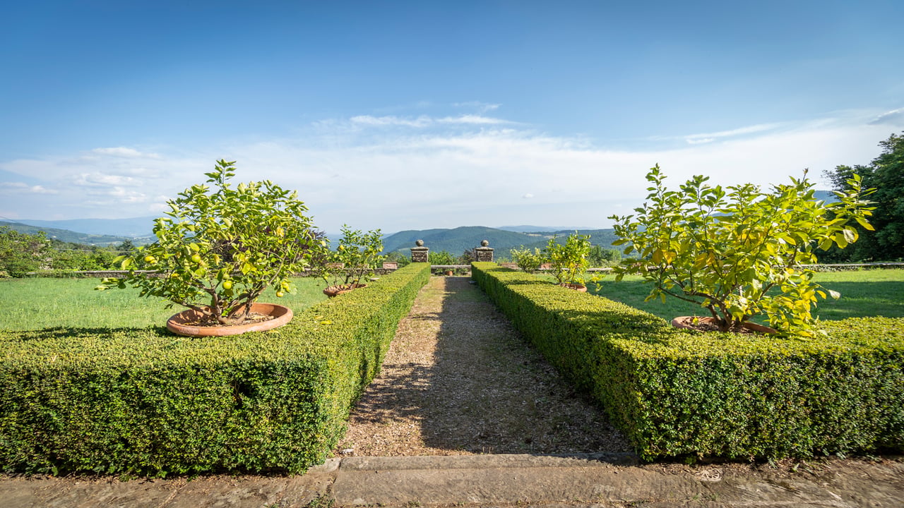 TENUTA DEL SIEVE