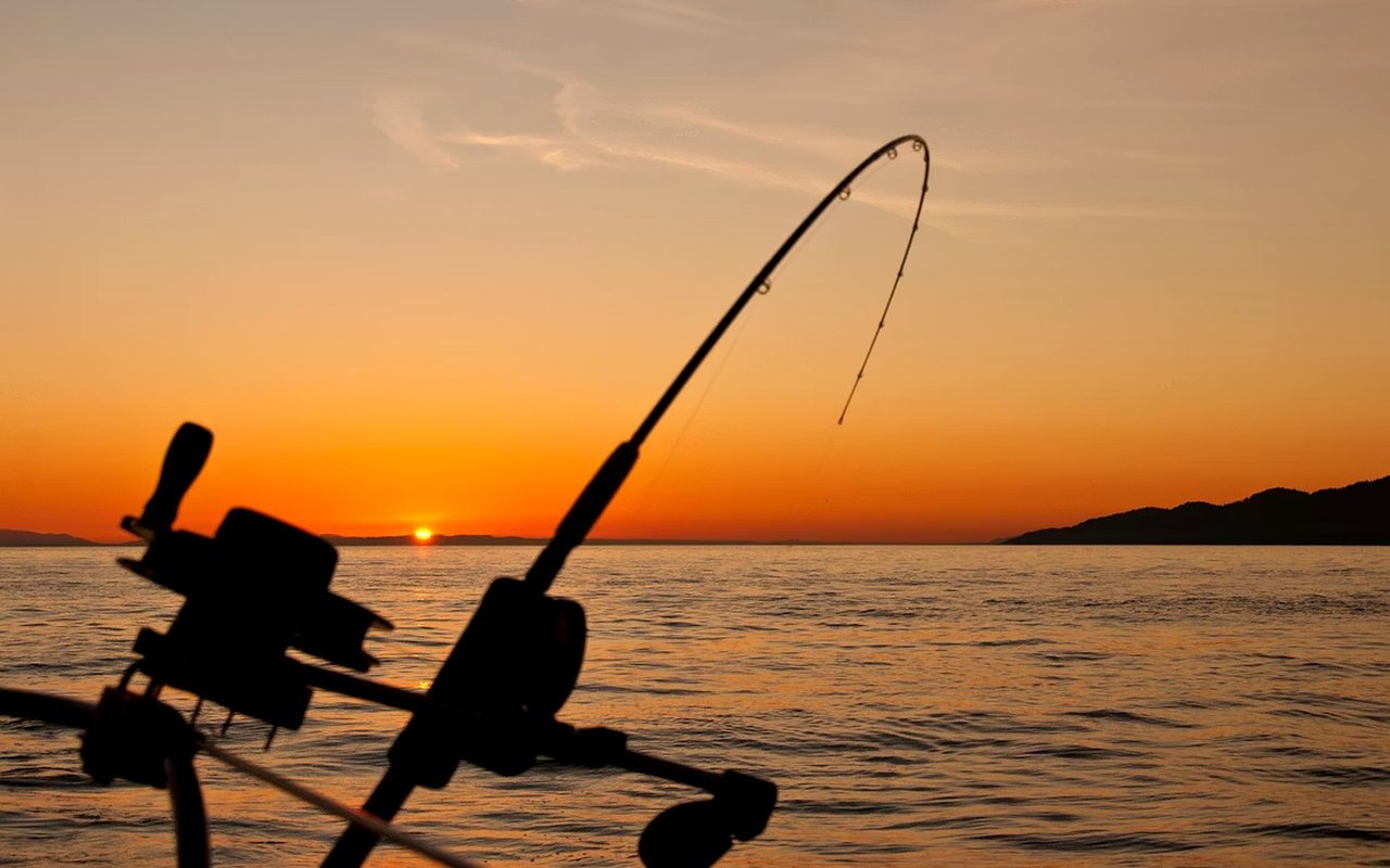 Fishing Charters in Los Cabos