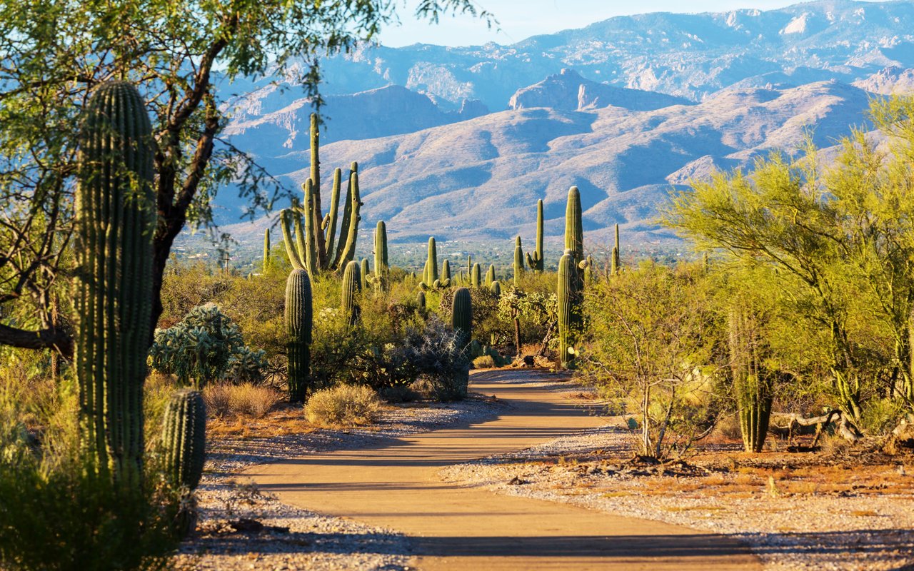 Cave Creek