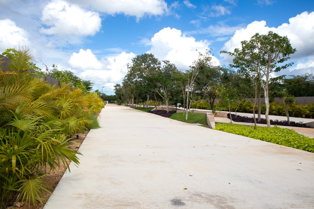Campo Magno