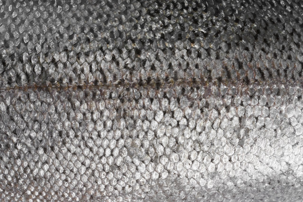 Rough gray surface with tightly packed rounded stones and a horizontal seam.