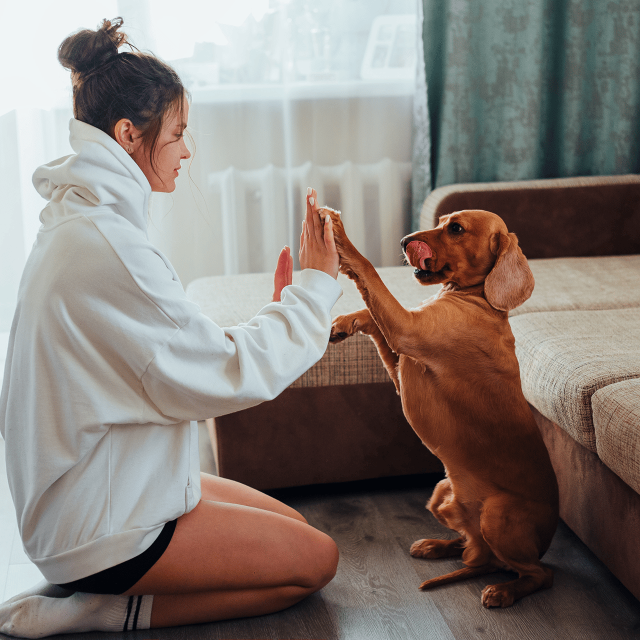 Why Owning a Home Is Worth It in the Long Run