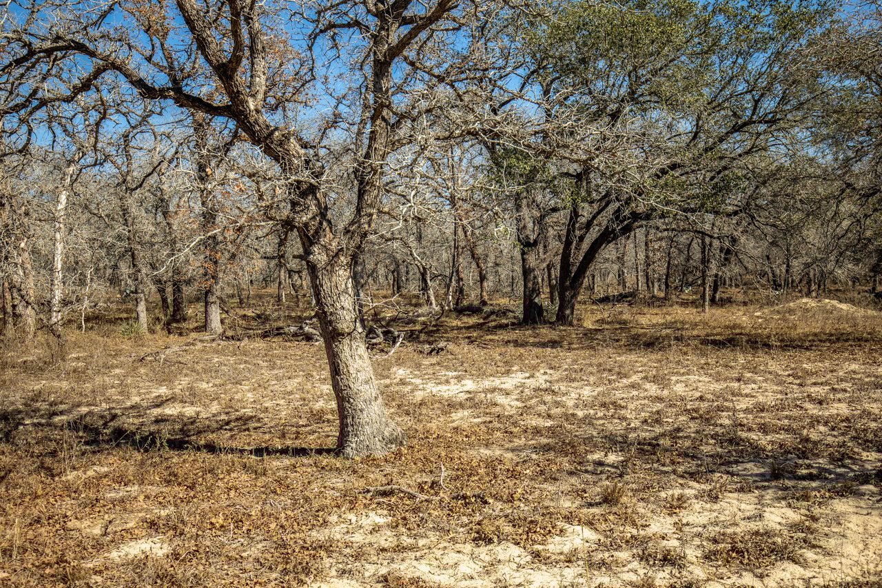 Whispering Pines Floresville Ranch | 298± Acres | Wilson County