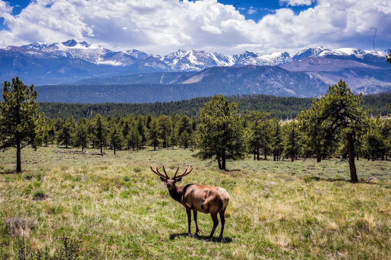 Where the Road Meets the Sky: Driving Trail Ridge Road