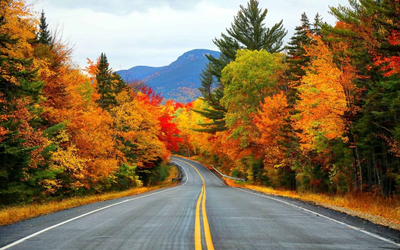 Fun Fall Ideas (That Aren’t Already on Your Bucket List)