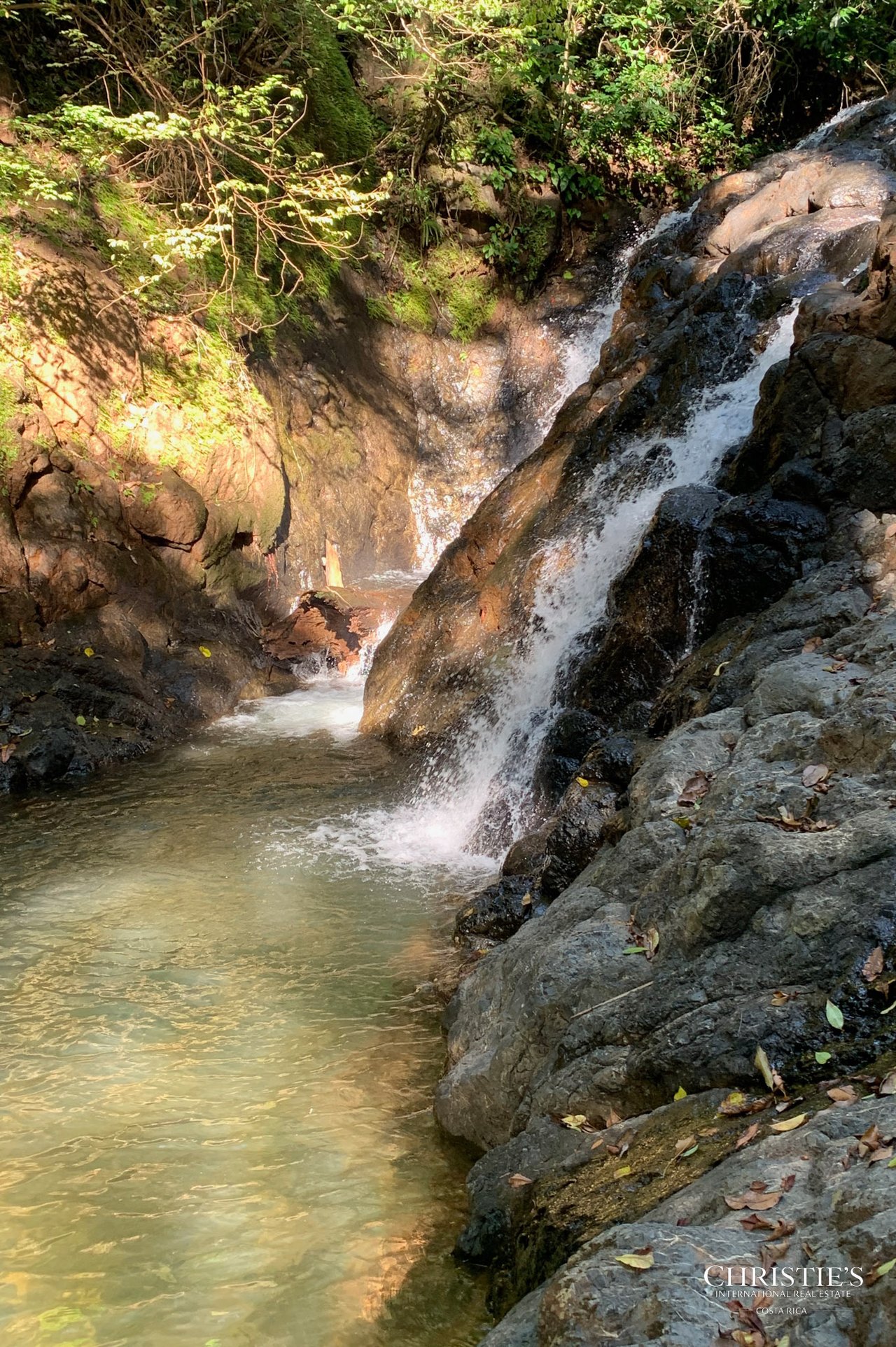 Finca Naranjalito