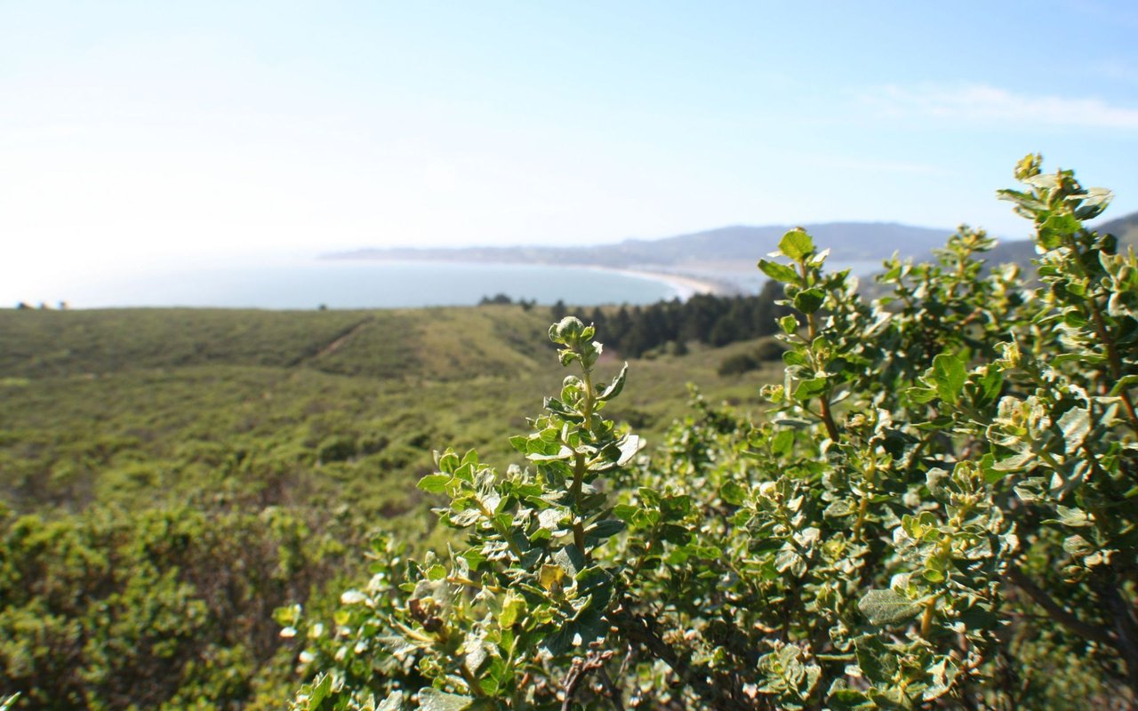 Kentfield