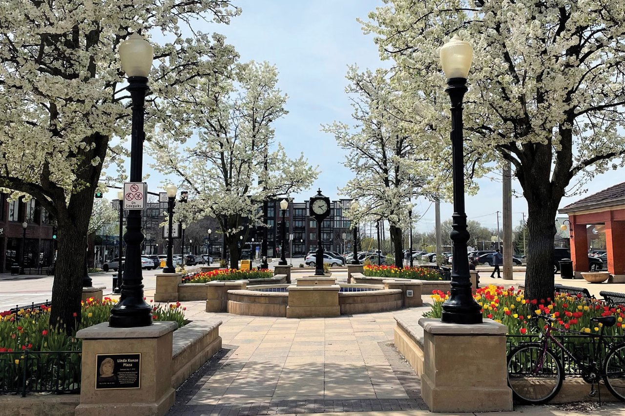 Moving to Downers Grove: What Buyers Should Know Before Relocating cover