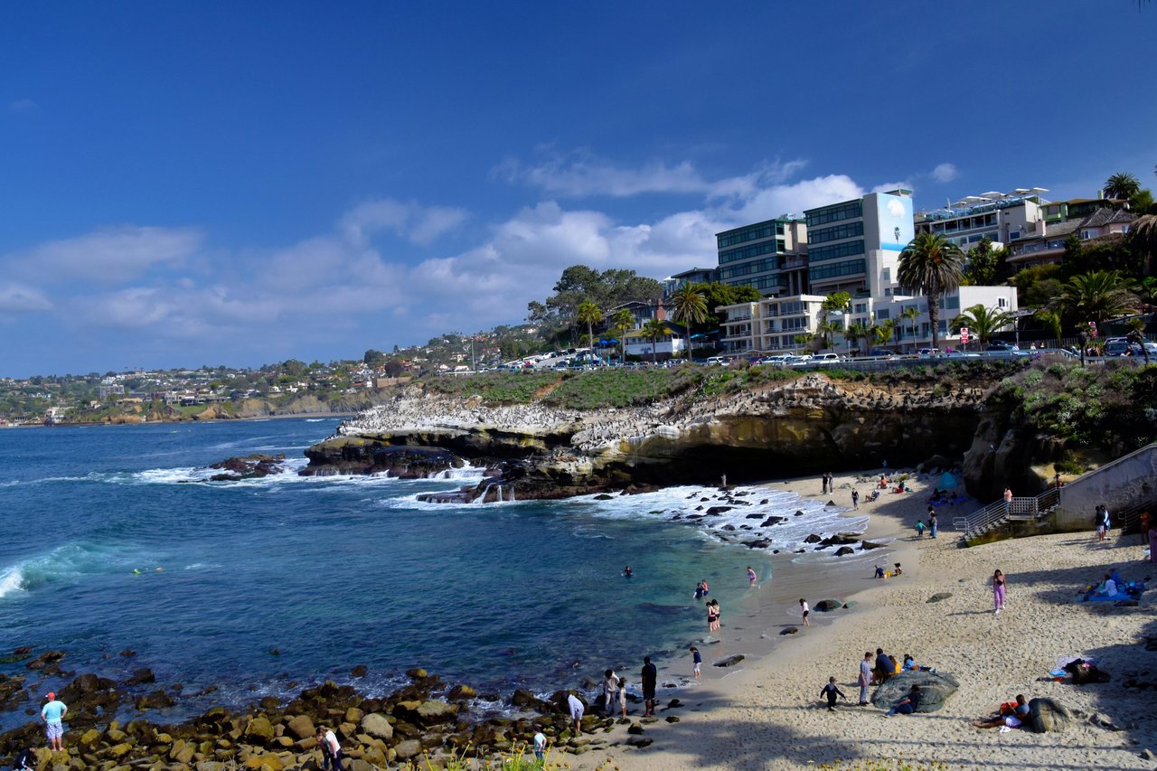 Spring flowers in foreground overlooking La Jolla beach and ocean on a clear coastal day