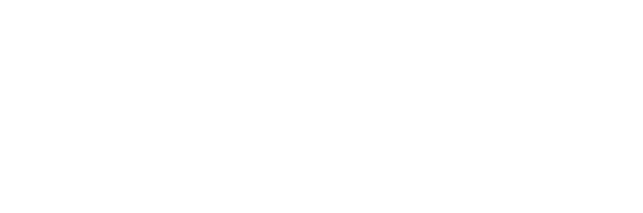 Light Logo