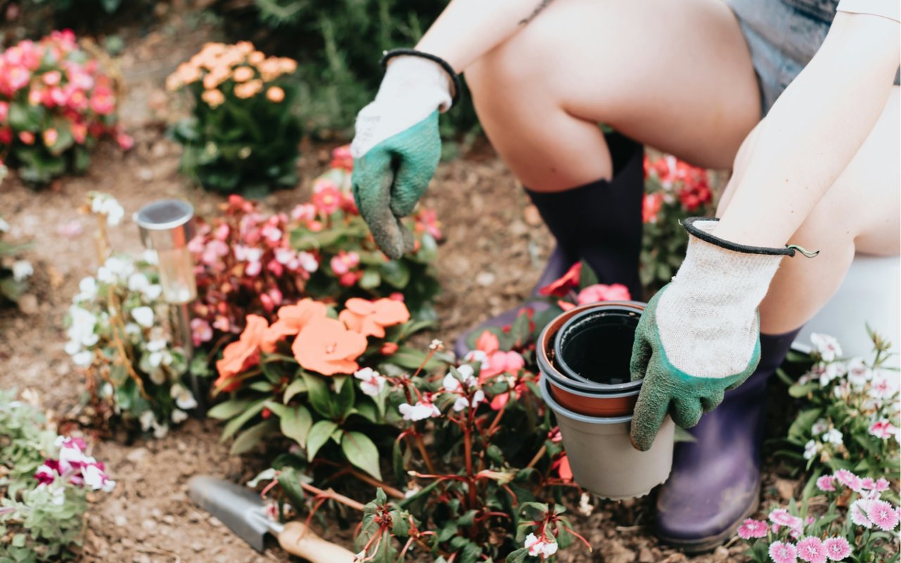 How to Renovate Your Backyard to Increase Home Value