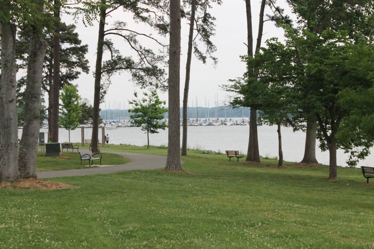 Knoxville’s Best-Kept Secret: A Day at “The Beach” (Yes, Really!)