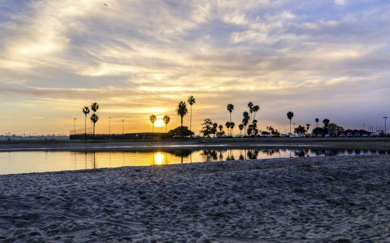 Why a Musty Smell in a Home Purchase May Mean Mold Issues