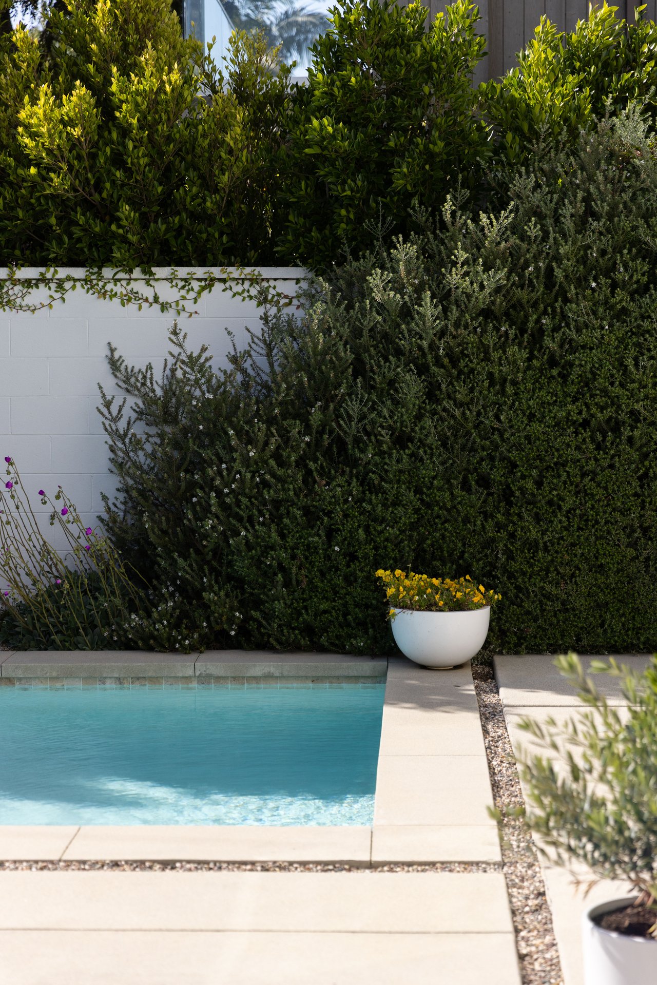 3525 Barry Ave, Mar Vista