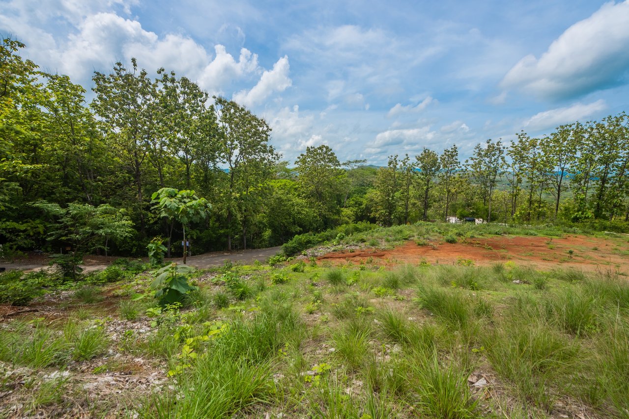 Lot 81, Rancho Villareal