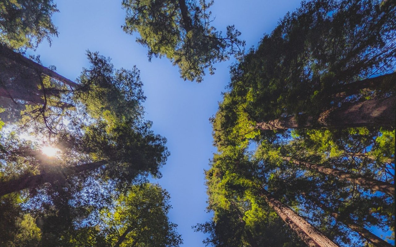 Scotts Valley