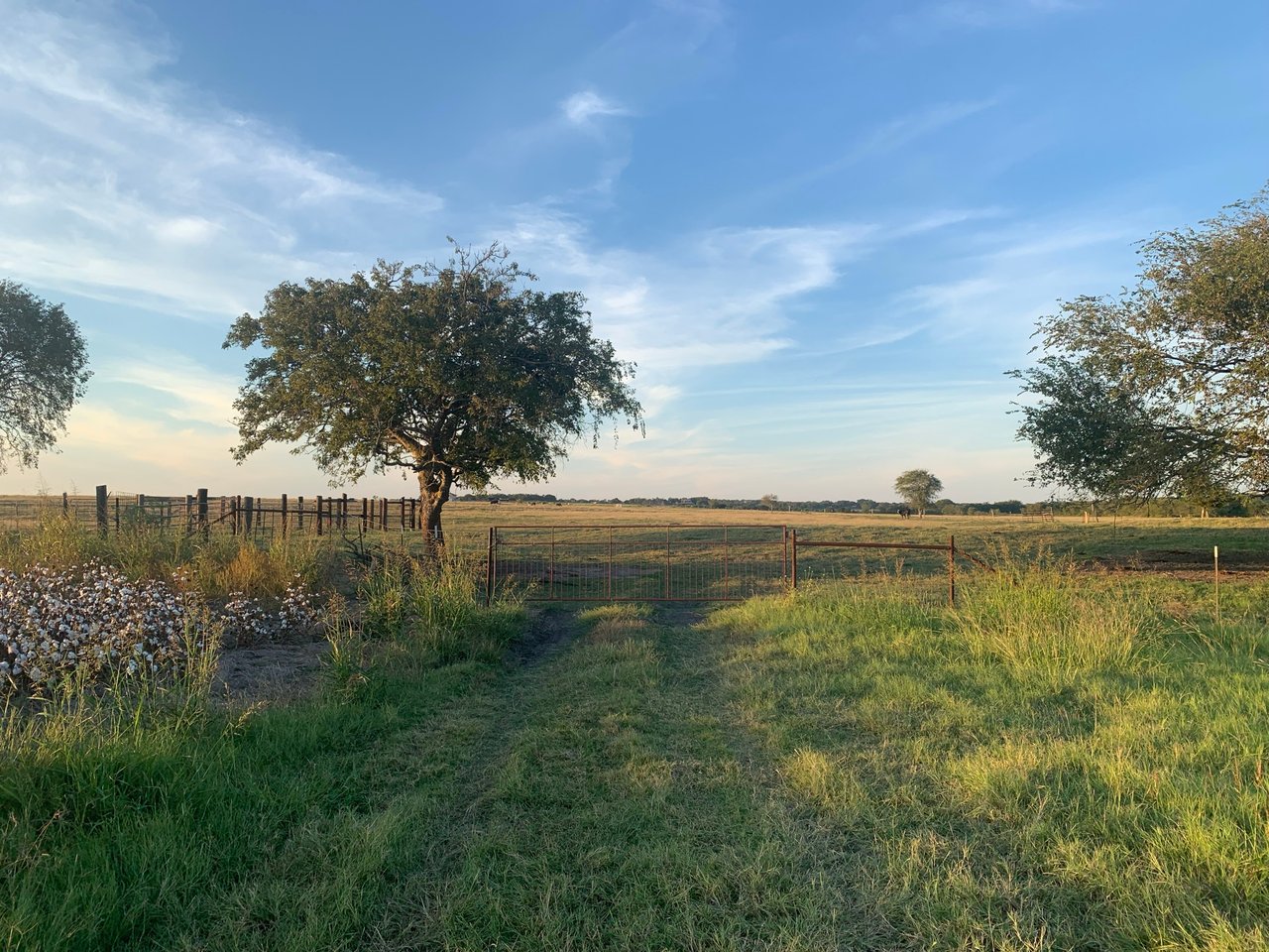 Land for sale in Georgetown