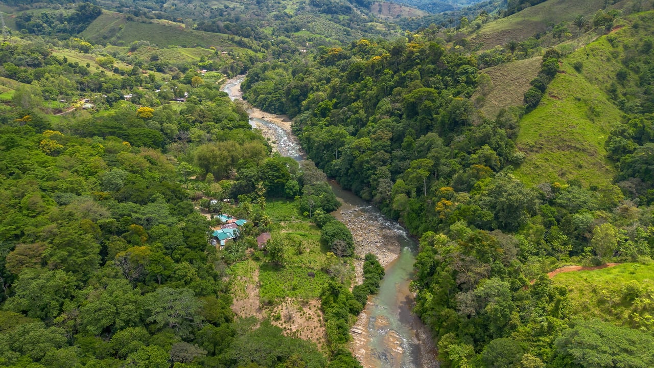 60 Hectares in Platanillo 