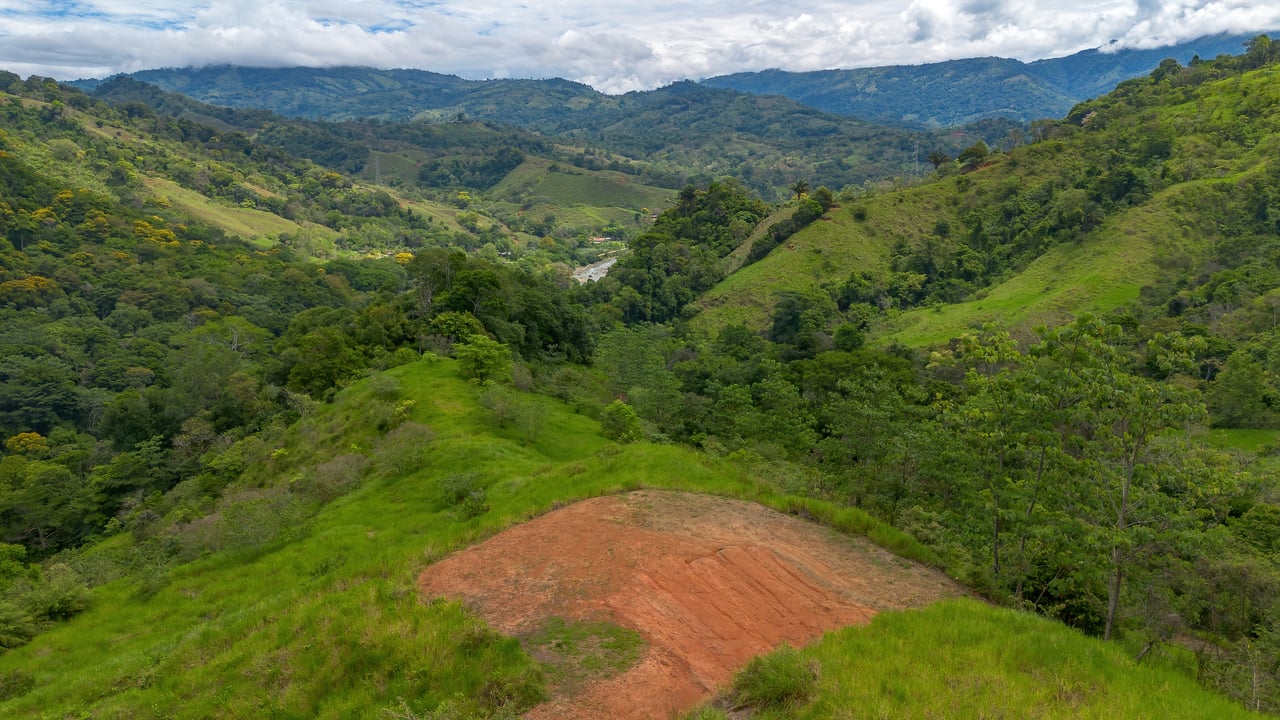 60 Hectares in Platanillo 