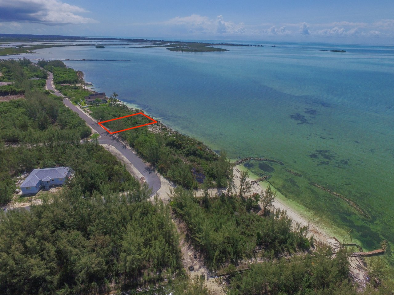 Lot #50 South Seas