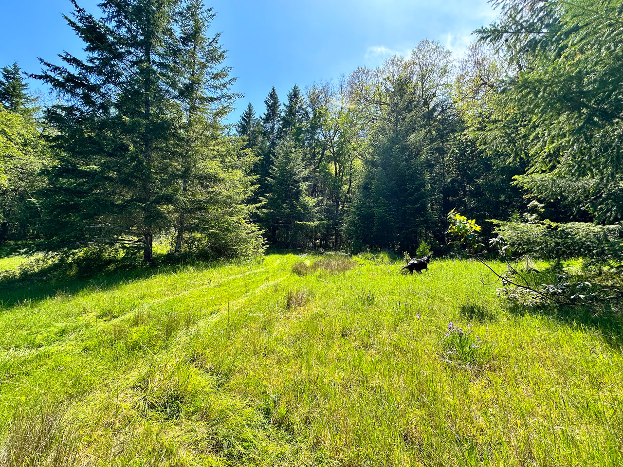 WAGON ROAD HOMESTEAD