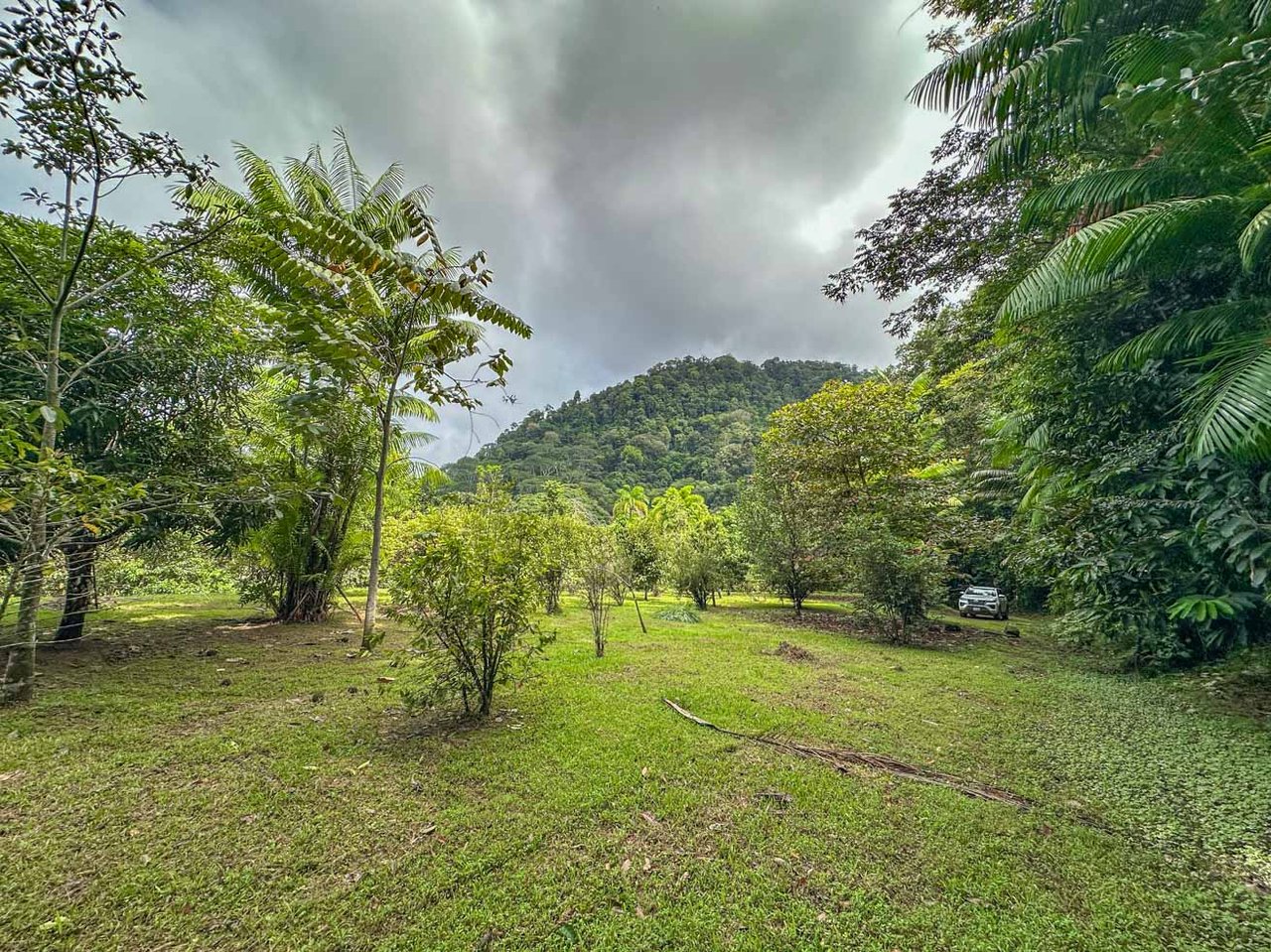 Ocean, jungle & mountain views on a meticulously landscaped 3-home family compound