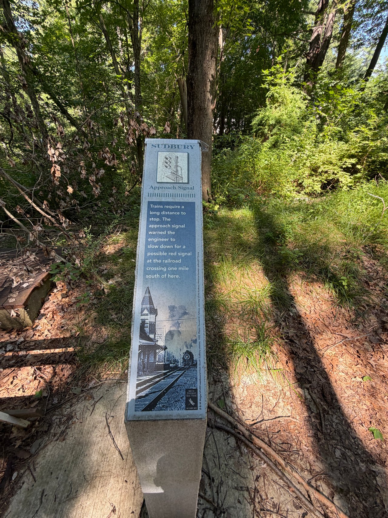 Bruce Freeman Rail Trail: Exploring Sudbury’s Newest Section