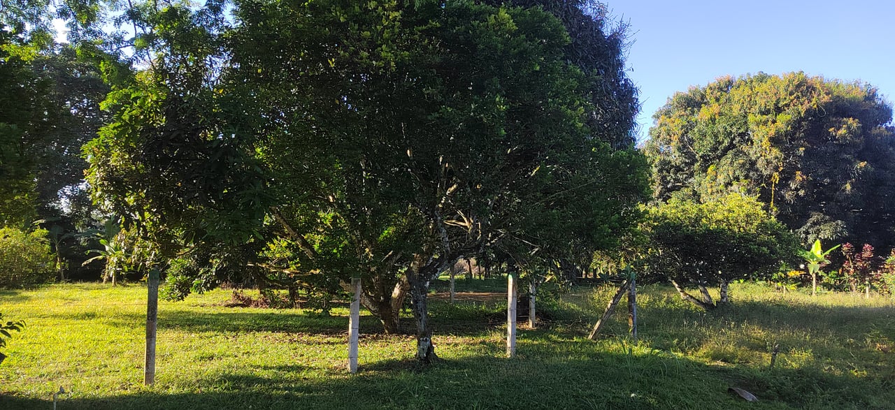PRIME 1,100 M² LOT IN RESIDENCIAL LOS VIEJOS – FLAT, PRIVATE, AND READY TO BUILD