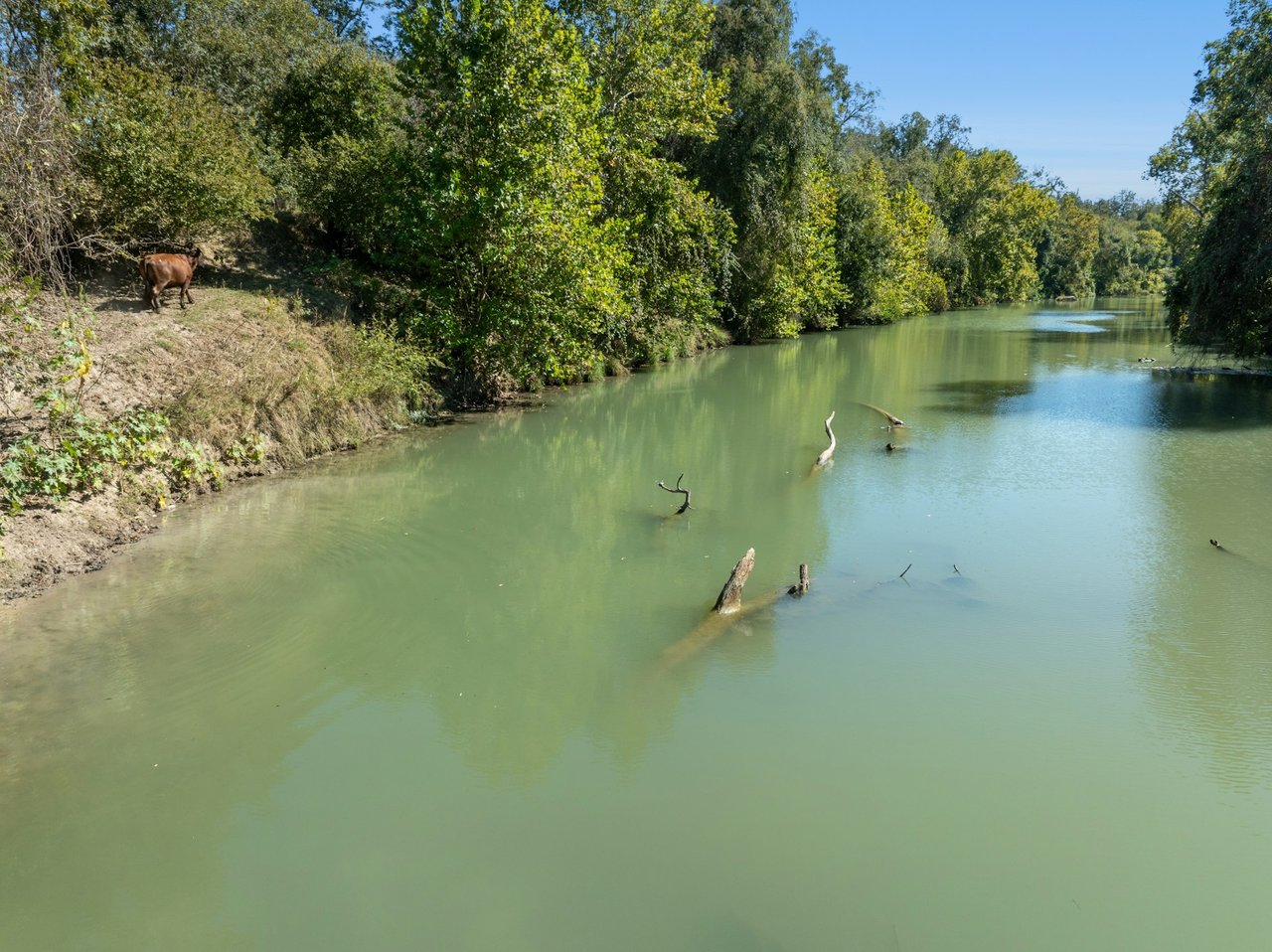 +/- 200 Acre Guadalupe Riverfront Ranch For Sale!