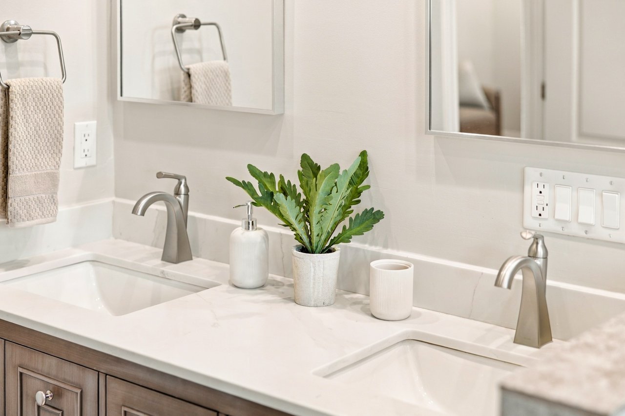 Bathroom vanity with two sinks, chrome faucets, and a potted plant between them.