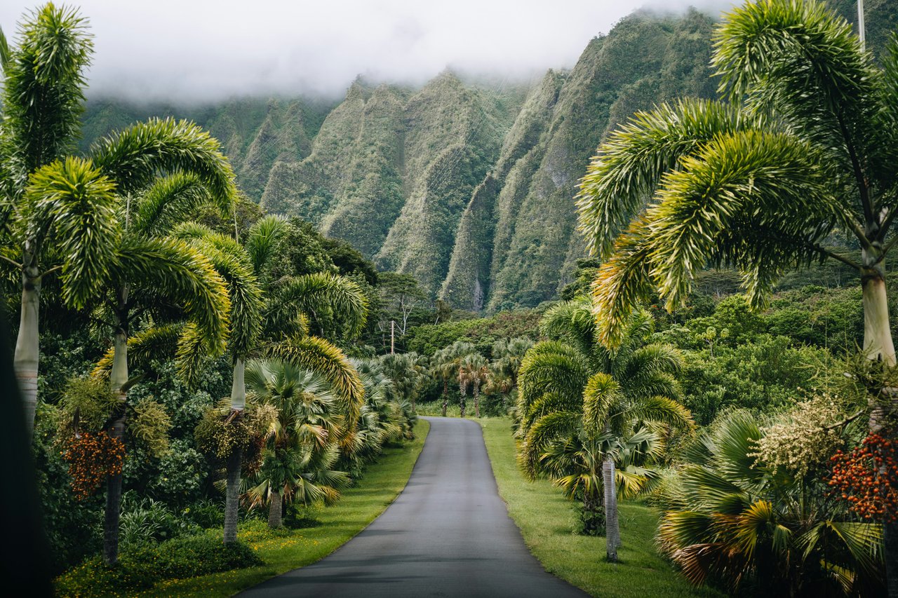 Oahu Real Estate Market Report — May 2026